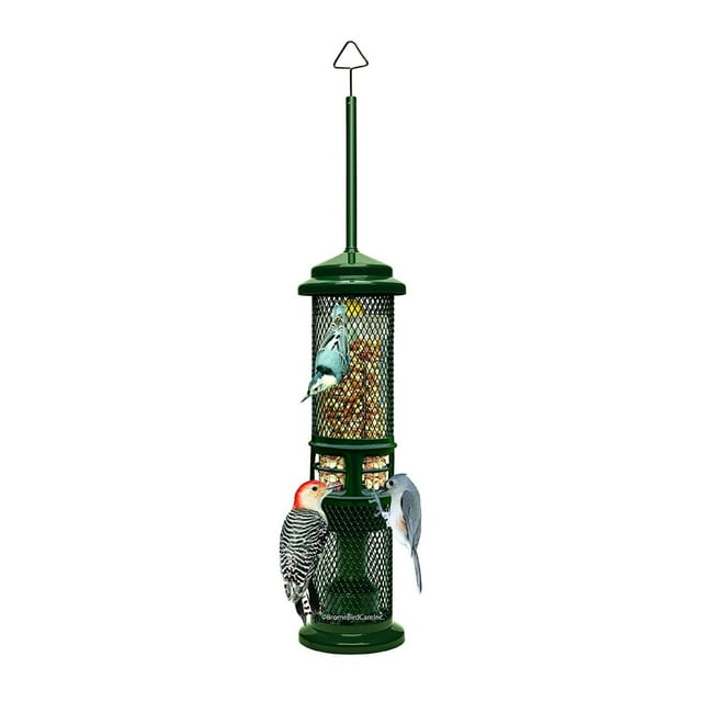 Brome Squirrel Buster Squirrel Proof Nut Feeder