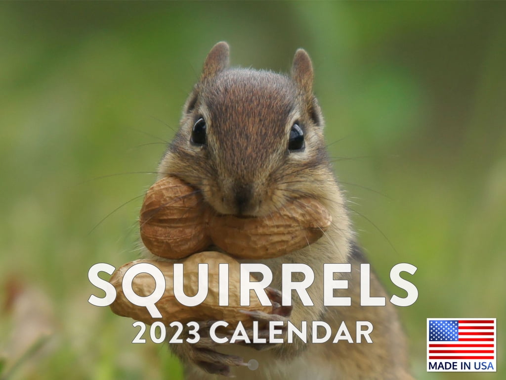 squirrel-calendar-2023-monthly-wall-hanging-calendar-funny-wild-animal-nature-cute-squirrels-nut