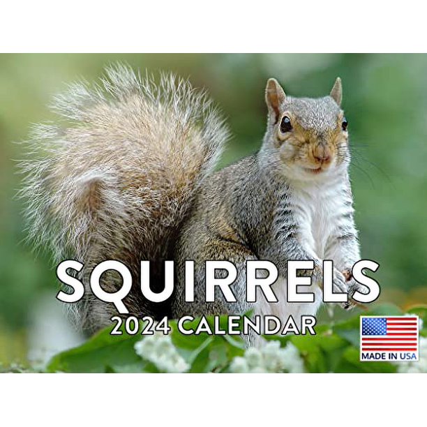 Squirrel Calendar 2024