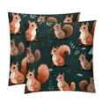 thumbnail image 1 of Squirrel Decorative Velvet Throw Pillow Covers for Chair - Set of 2, Unique Patterns, 16x16, 18x18, 20x20 Inches for Home Decor and Gifts, 1 of 6