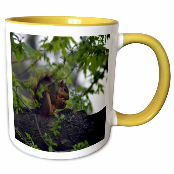 3drose, Squirrel Eating Nut Squirrel in Tree, 11oz Two-tone Yellow Mug
