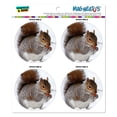 thumbnail image 1 of Squirrel Eating in Winter MAG-NEATO'S(TM) Car/Refrigerator Magnet Set, 1 of 1