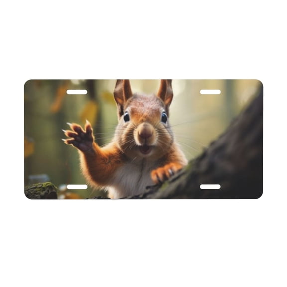 Squirrel Funny Animal License Plate with 4 Holes,Novelty Aluminum Metal Car Plate Vanity Tag Decorative Car Front Accessories for Women Men,6"x12"