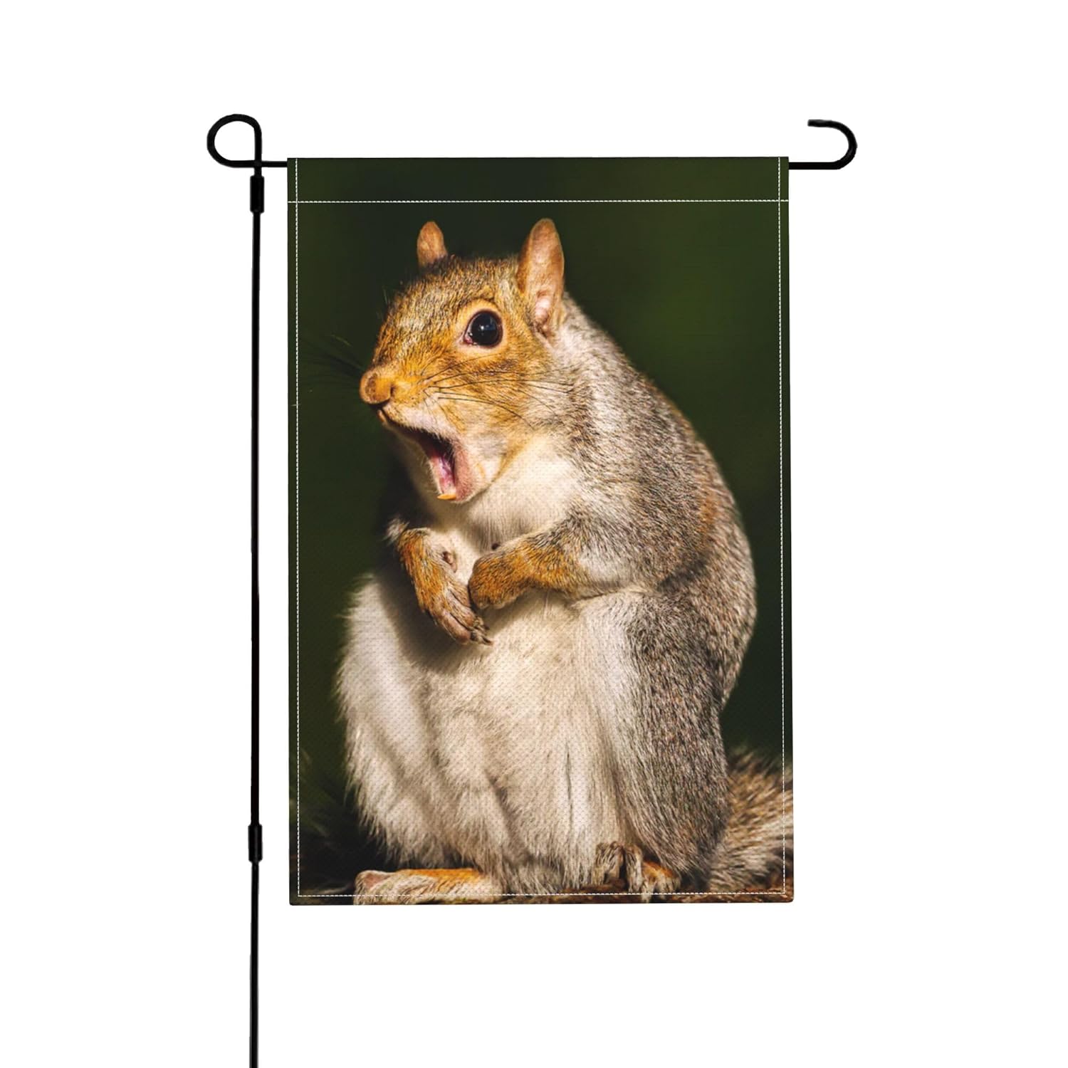 Squirrel Garden Flags For Outside Grey Yawning Funny Face Sting Humour 