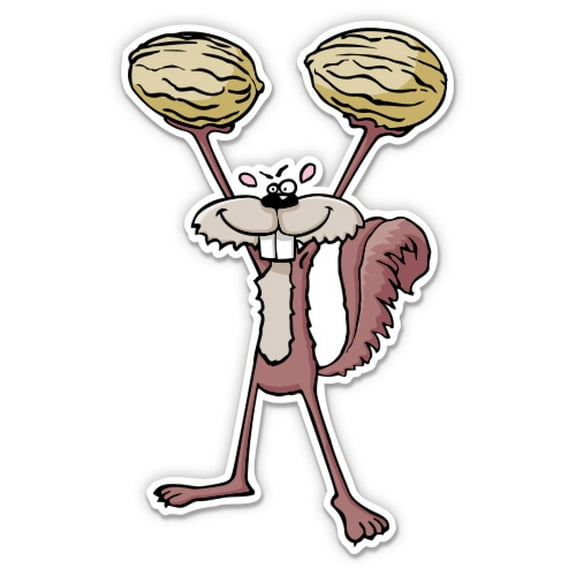 Squirrel Holding Big Nuts Funny - 8" Vinyl Sticker - For Car Laptop I-Pad - Waterproof Decal