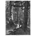 thumbnail image 1 of Squirrel Hunting 1867. Nsquirrel Hunters In A Forest. Wood Engraving American 1867. Poster Print by, 1 of 3