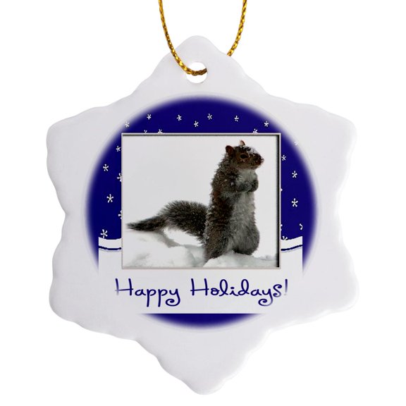 3drose, Squirrel in the Snow, Happy Holidays, Blue Frame with Snowflake, 3 inch Snowflake Porcelain Ornament