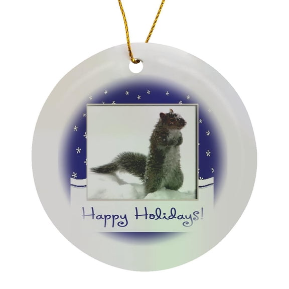 3drose, Squirrel in the Snow, Happy Holidays, Blue Frame with Snowflake, Circle Porcelain Ornament