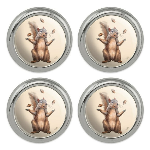 Squirrel Juggling His Nuts Crazy Funny Metal Craft Sewing Novelty Buttons - Set of 4