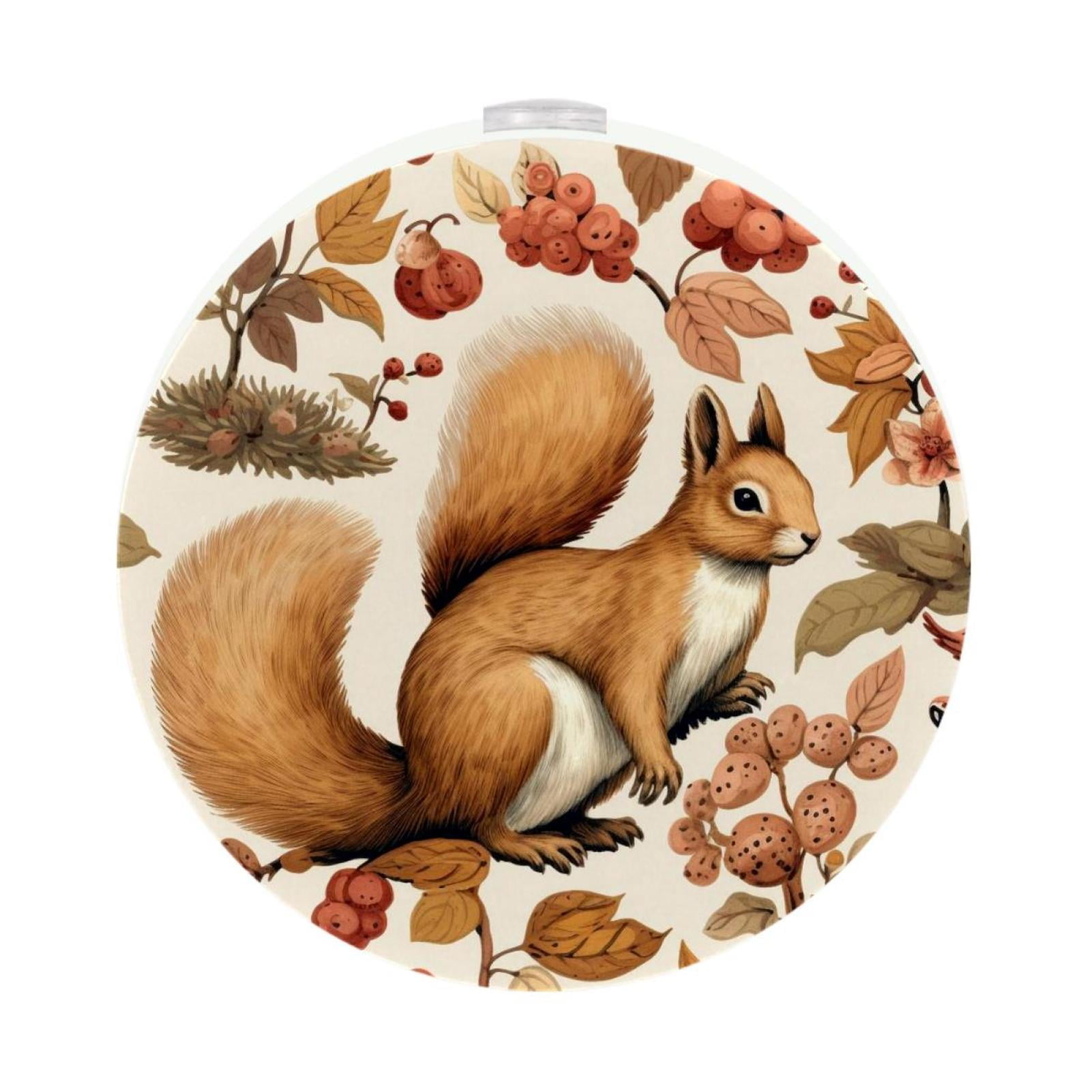 Squirrel LED Round Night Light-2PCS - Plug-in Smart Sensor Nightlights ...