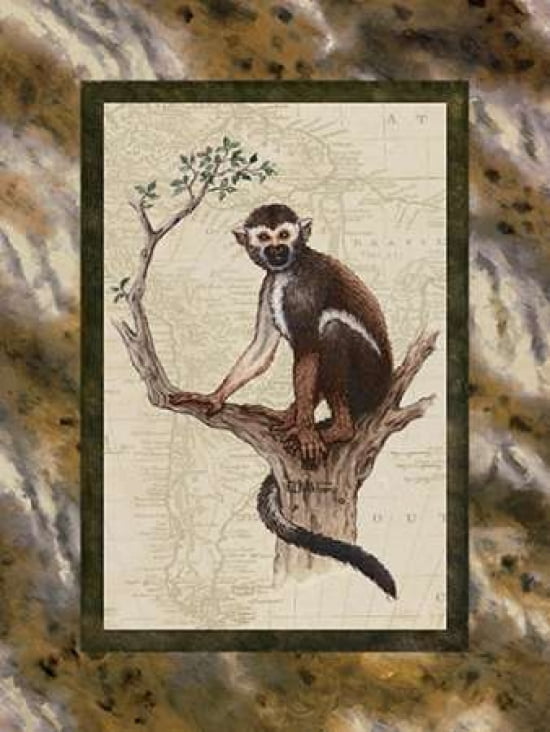 Squirrel Monkey Canvas Art - Janet Kruskamp (18 x 24)