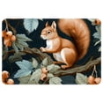 thumbnail image 1 of Squirrel Non-Slip Polyester Floor Carpet Door Rugs Outdoor Carpet, Machine Washable, 1 of 6