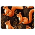 thumbnail image 1 of Squirrel Non-Slip Polyester Office Mat, Door Rug, Indoor Mat - Machine Washable, 1 of 6