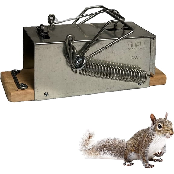 Squirrel Ouell Traps Outdoor (Big) Big Squirrel (Black and gray)