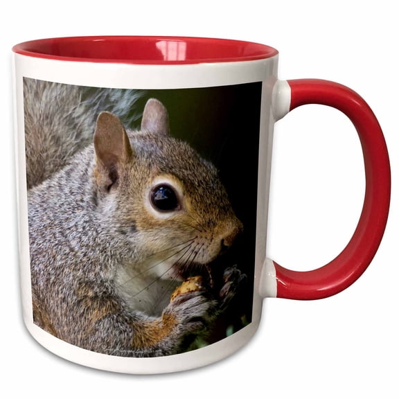 Squirrel Peeling A Nut 11oz Two-Tone Red Mug mug-22867-5