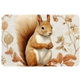 thumbnail image 1 of Squirrel Polyester Non-Slip Machine Washable Bath Rug Door Carpet Chair Rug, 1 of 6