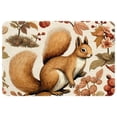 thumbnail image 1 of Squirrel Polyester Non-Slip Machine Washable Office Mat - Door Mat Chair Rugs Door Mats, 1 of 6