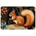thumbnail image 1 of Squirrel Polyester Outdoor Carpet Game Mat Floor Mats: Non-Slip & Machine Washable, 1 of 6
