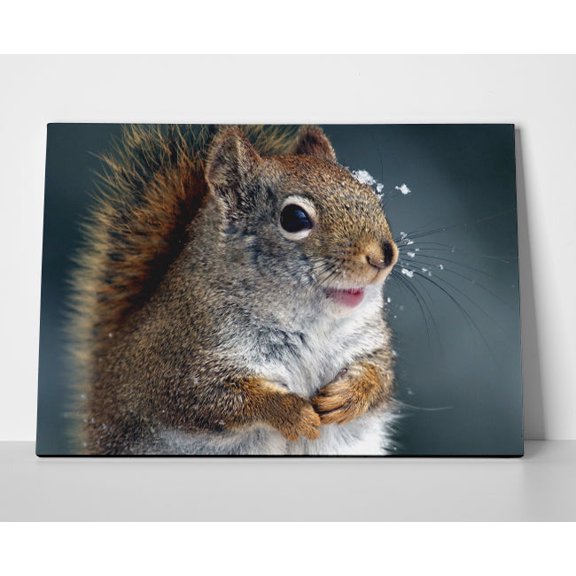 Squirrel Poster or Wrapped Canvas