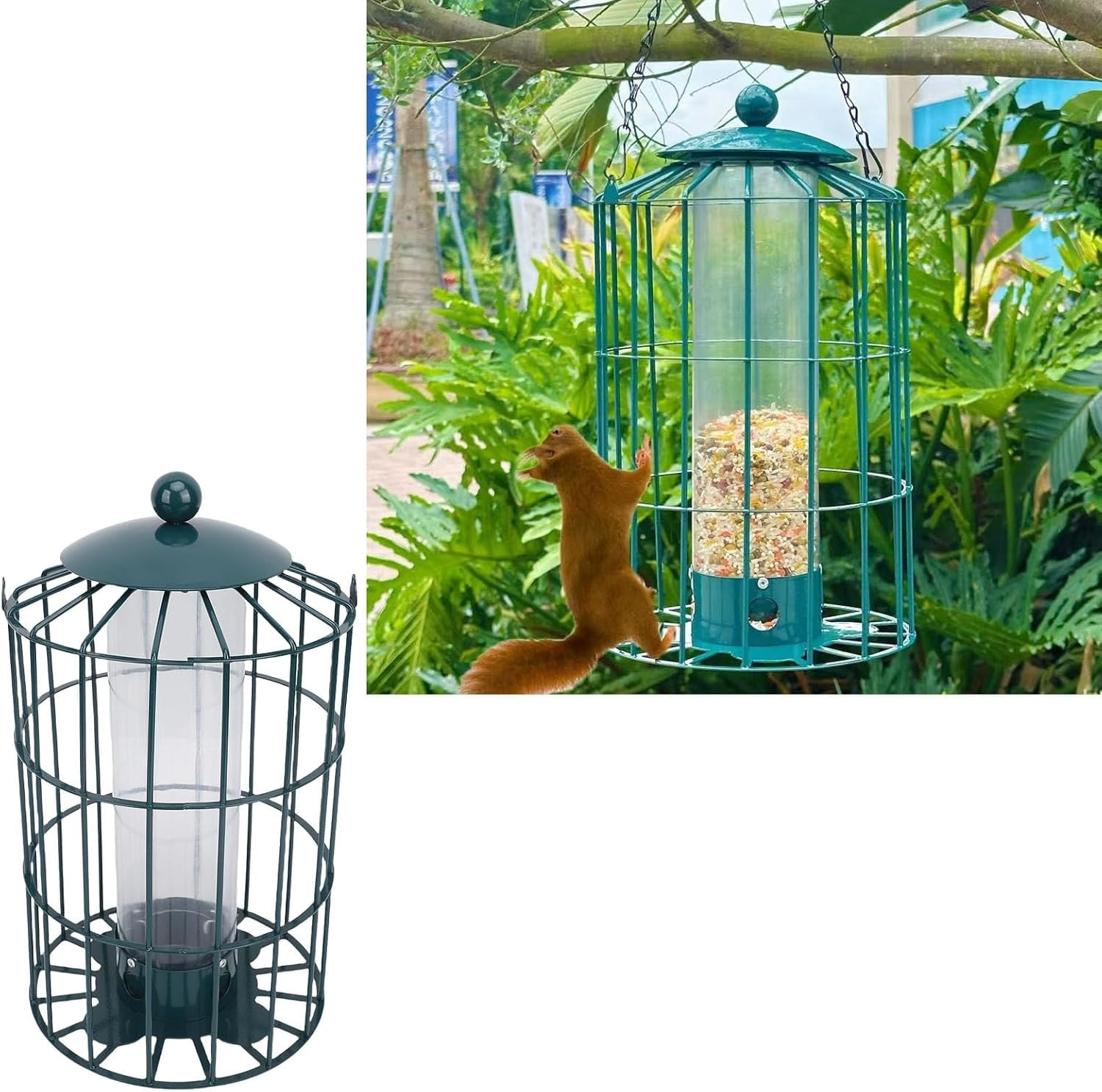 Squirrel Proof Caged Bird Feeders,Hanging Clear Tube Bird Feeder With Metal Chain,Wild Small Birds Rainproof Station for Garden Yard Seed,Easy Clean,Suitable for Various Outdoor Environments