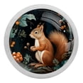 thumbnail image 1 of Squirrel Round Glow-in-the-Dark Cabinet Knobs: Fluorescent Drawer Pulls 4-Pack, Complet– Suitable Kitchen Hardware, 1 of 6