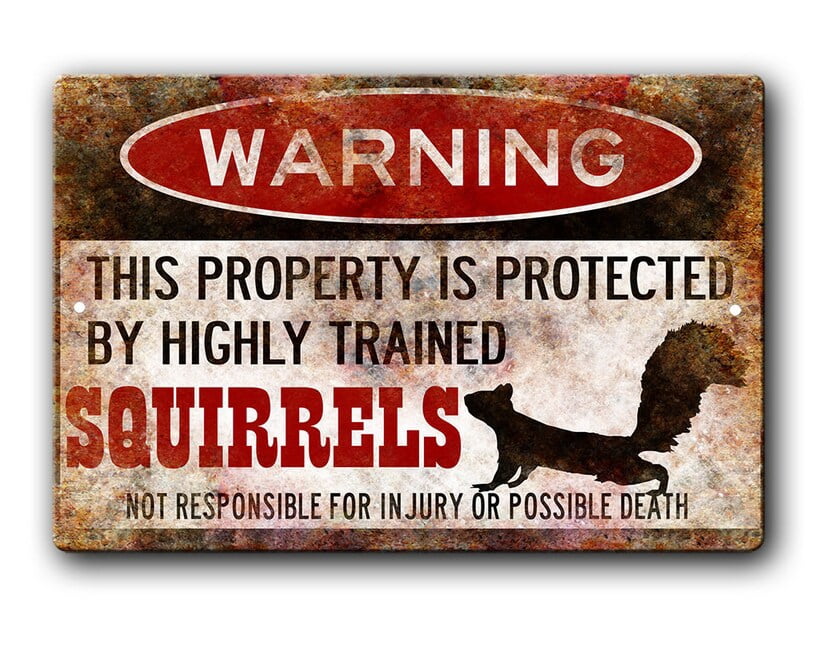 Squirrel Sign,Funny Metal Signs,Protected By Squirrels,Squirrels ...