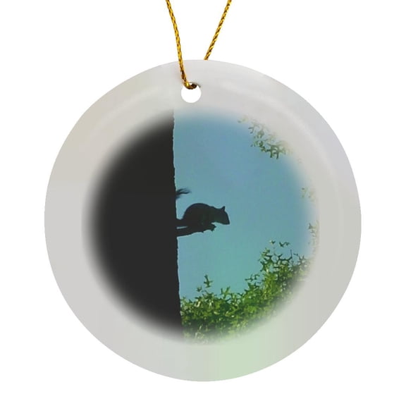 3drose, Squirrel Sitting on Tree Branch in Silhouette, Circle Porcelain Ornament