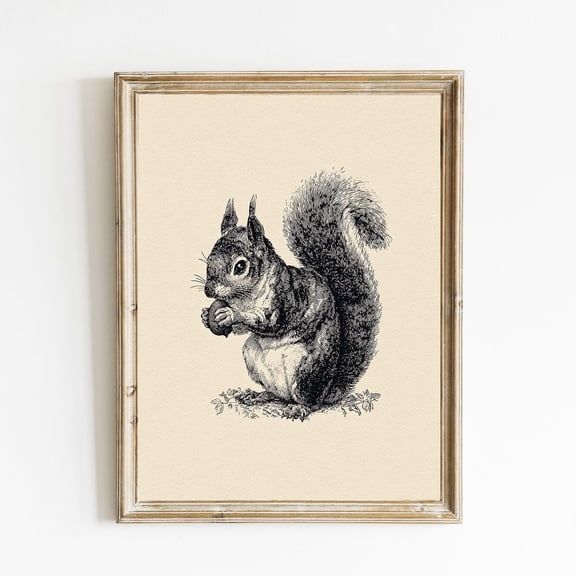 Squirrel Sketch Vintage Botanical Decor Poster Neutral Wall Decor Poster Minimalistic Botanical Sketch able Cottagecore Decor Poster E1183, Unframed Poster Size 12x18 F03.1.18l534