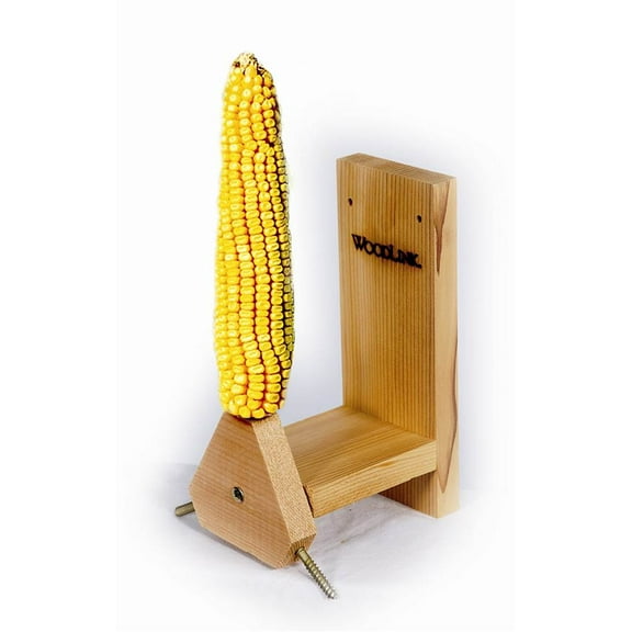 Squirrel spin feeder