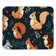 thumbnail image 1 of Squirrel Square 8.3x9.8 Inch Non-Slip Rubber Bottom Printed Desk Mat Gaming Mouse Pad Mousepad Suitable for Office and Gaming, 1 of 6