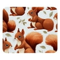 thumbnail image 1 of Squirrel Square Desk Mat Gaming Mouse Pad, 8.3x9.8 Inch Non-Slip Rubber Bottom Printed Design - Suitable for Office and Gaming, 1 of 6