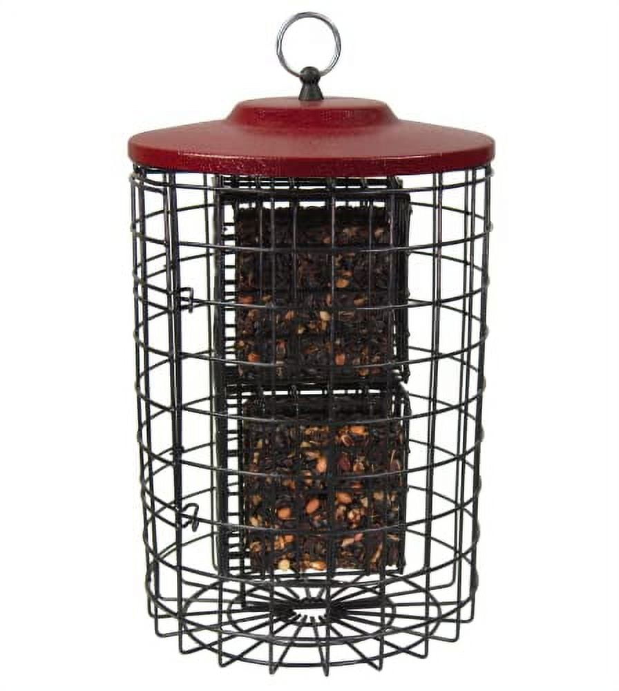 Squirrel Stopper Round 4 Cake Red Squirrel Proof Suet Feeder Holds 4 Suet or Seed Cakes Easy