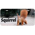 thumbnail image 1 of Squirrel TAG01 Novelty Car Auto License Plate, 1 of 2