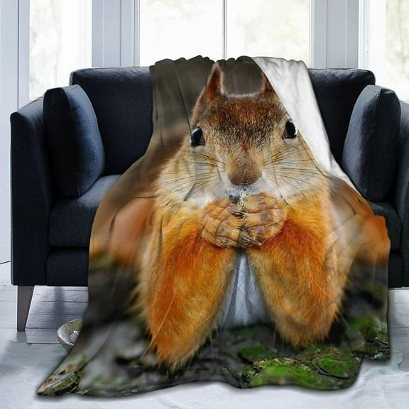 Squirrel Throw Blanket Squirrel Blanket Comfort Warmth Soft Cozy Blanket Fleece Blanket for Couch Bed Sofa
