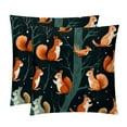 thumbnail image 1 of Squirrel Throw Pillows Set of 2 with Unique Patterns Covers - Available in 16x16, 18x18, and 20x20 Inches for Various Occasions - Includes Throw Pillow Inserts, 1 of 6