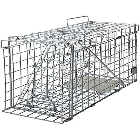 Squirrel Trap Foldable Heavy Duty Humane Live Animal Cage Trap (Not for Mouse)$$Garden & Patio