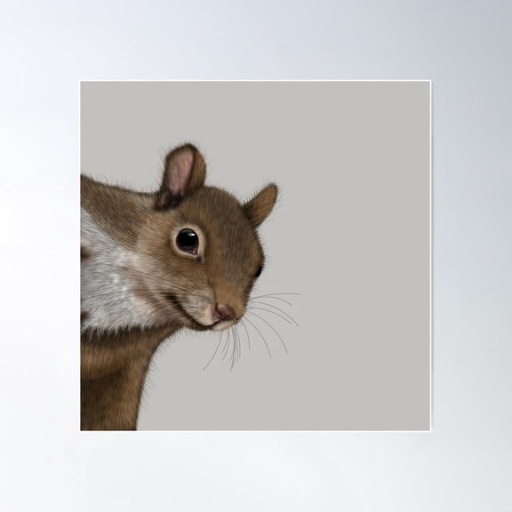 Squirrel Tshirt, Woodland Animals Shirt, Squirrel Art Poster Wall Art, Modern Wall Decor For Living Room Bedroom, 16X16 UNFRAMED