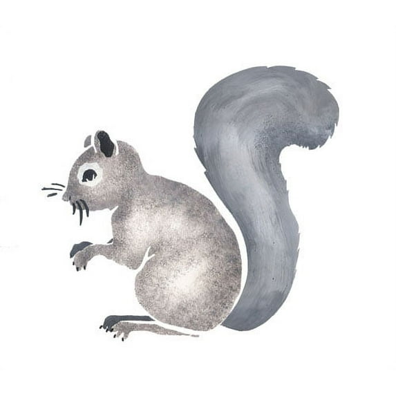Squirrel Wall Stencil - DEE161 by DeeSigns