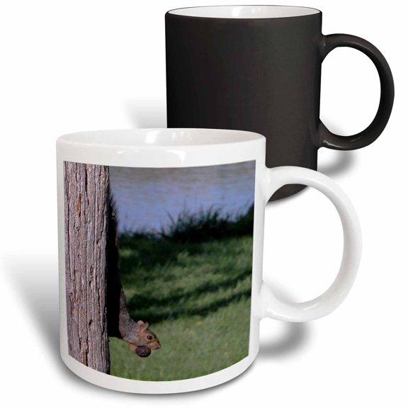3drose, Squirrel with Walnut, 11oz Magic Transforming Mug