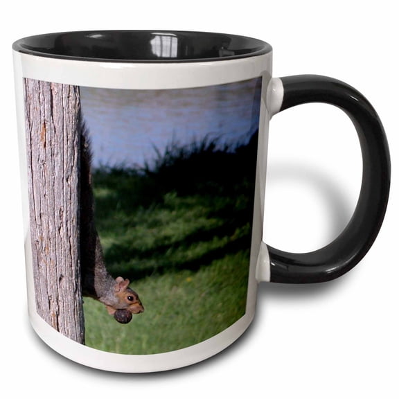 3drose, Squirrel with Walnut, 11oz Two-tone Black Mug