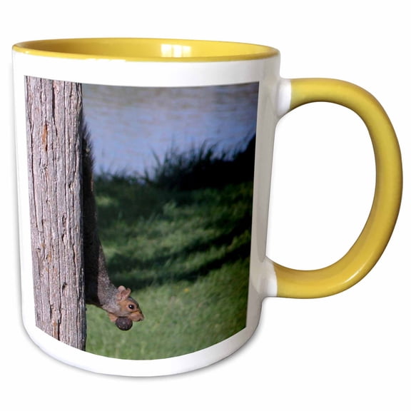 3drose, Squirrel with Walnut, 11oz Two-tone Yellow Mug