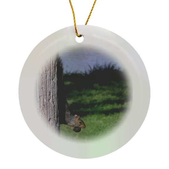 3drose, Squirrel with Walnut, Circle Porcelain Ornament