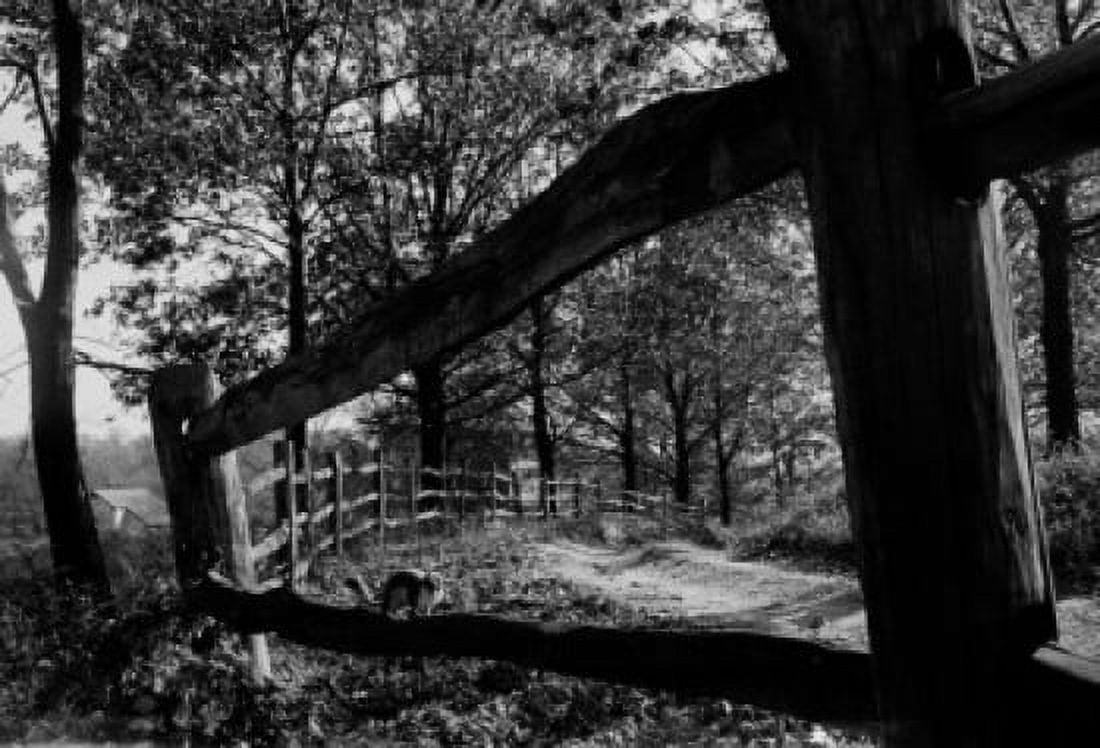 Squirrel on rail fence in autumn setting Canvas Art - (18 x 24)
