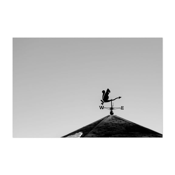 Squirrelly Directions - The Bronx New York Photography Silhouette Black and White Minimalist Architecture Rustic Wildlife Vintage Unframed Wall Art Print 20 x 28 inches