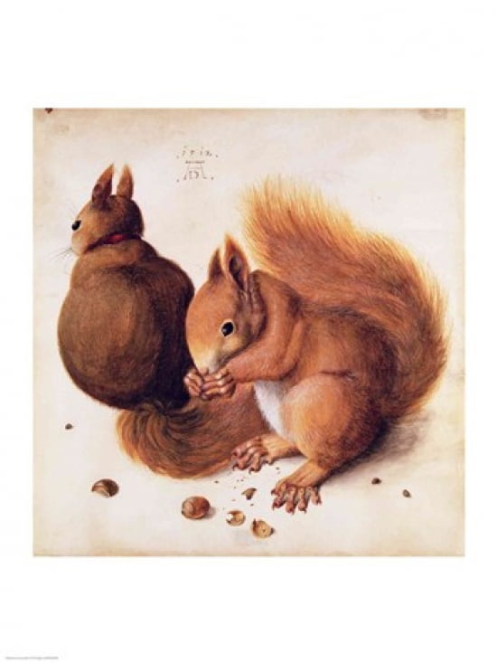 Squirrels 1512 Canvas Art - Albrecht Durer (18 x 24)