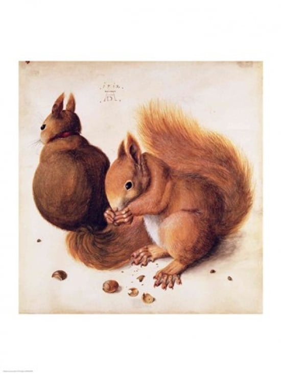 Squirrels 1512 Canvas Art - Albrecht Durer (24 x 36)