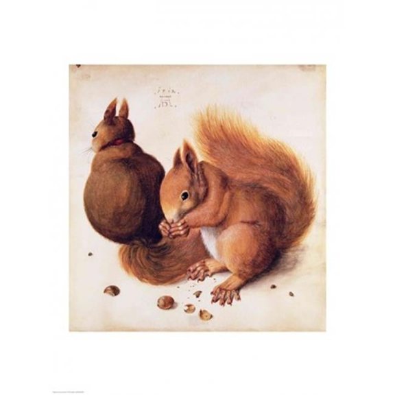Squirrels 1512 Poster Print by Albrecht Durer - 18 x 24 in.