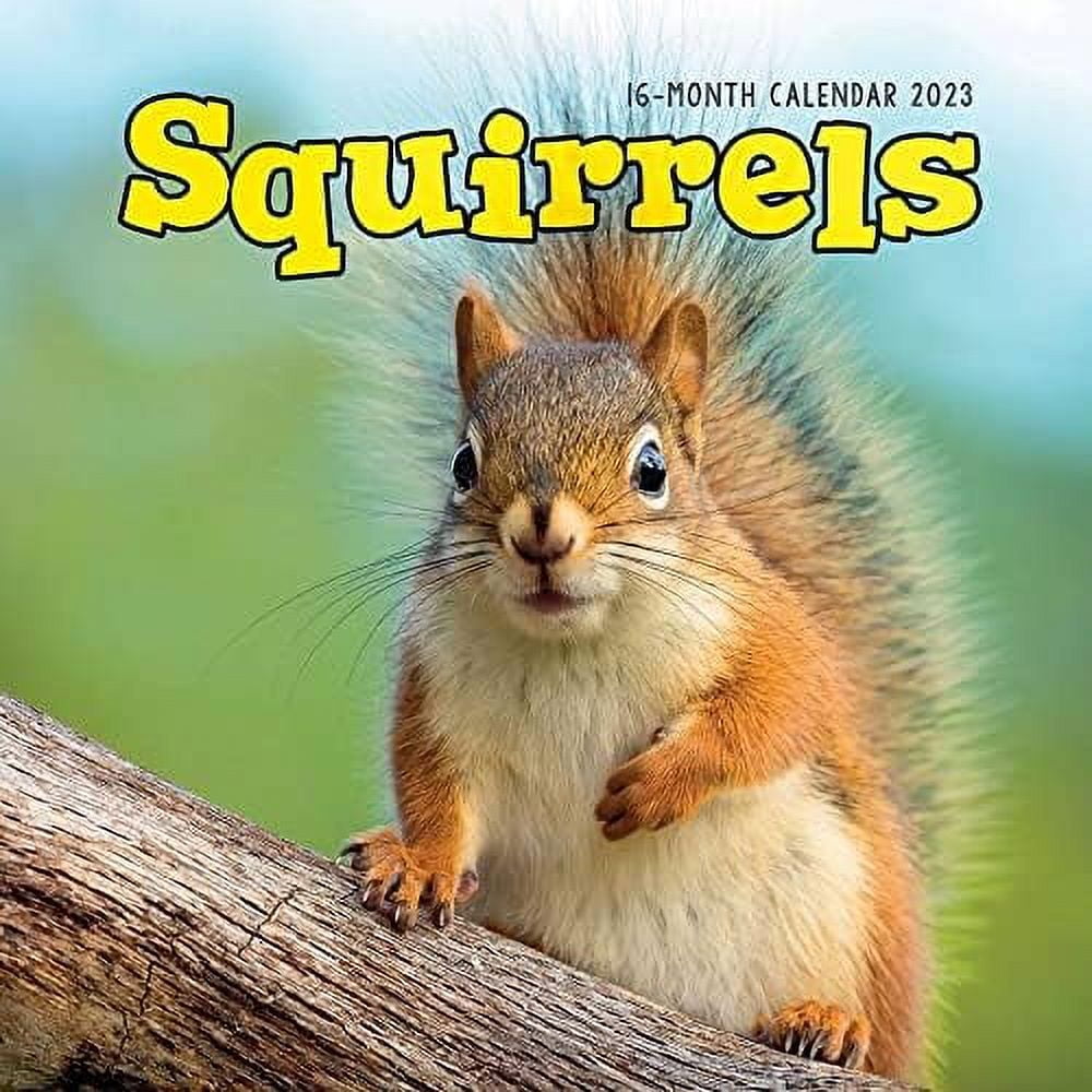 squirrels-2023-wall-calendar-walmart