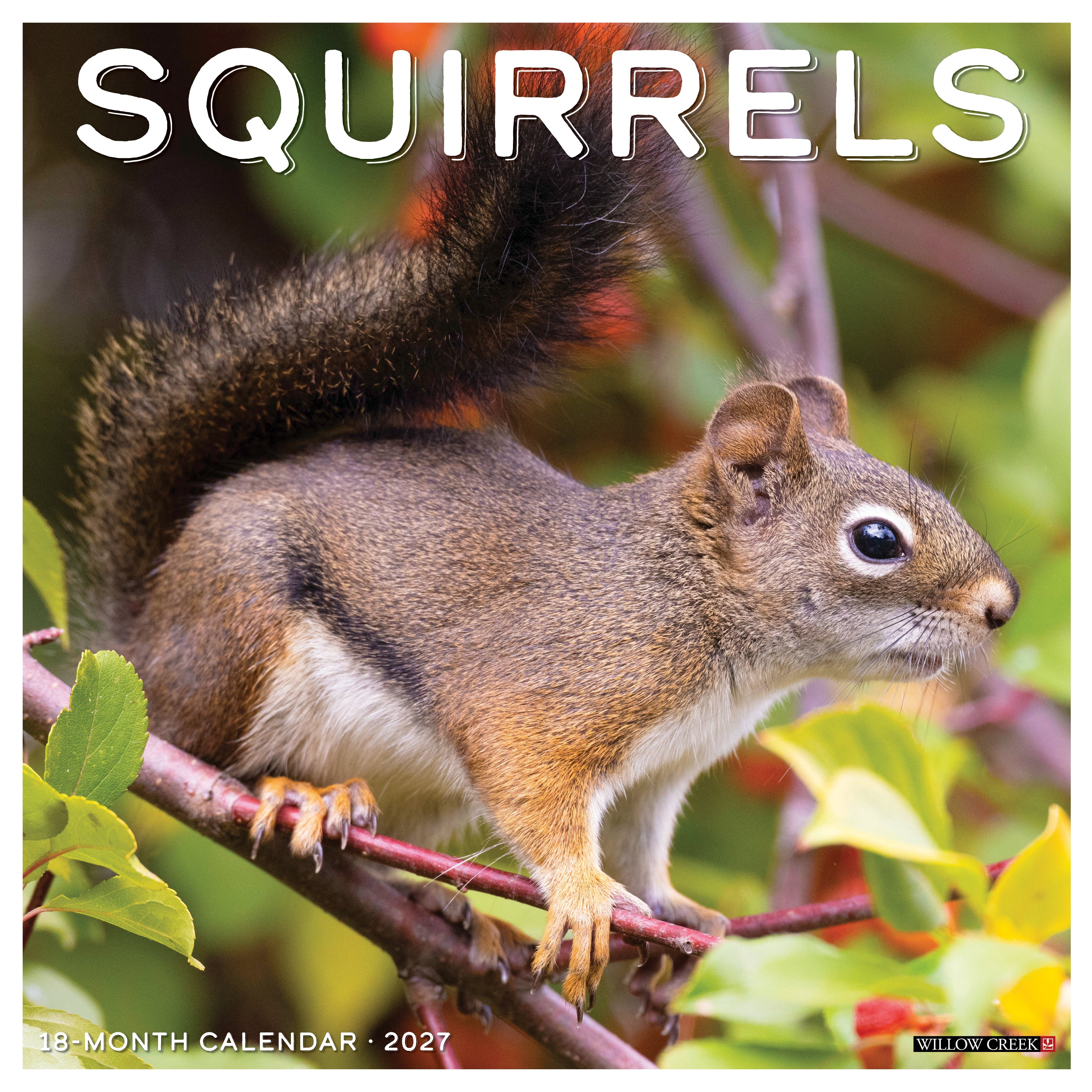 Willow Creek Press, Squirrels 2027 Wall Calendar