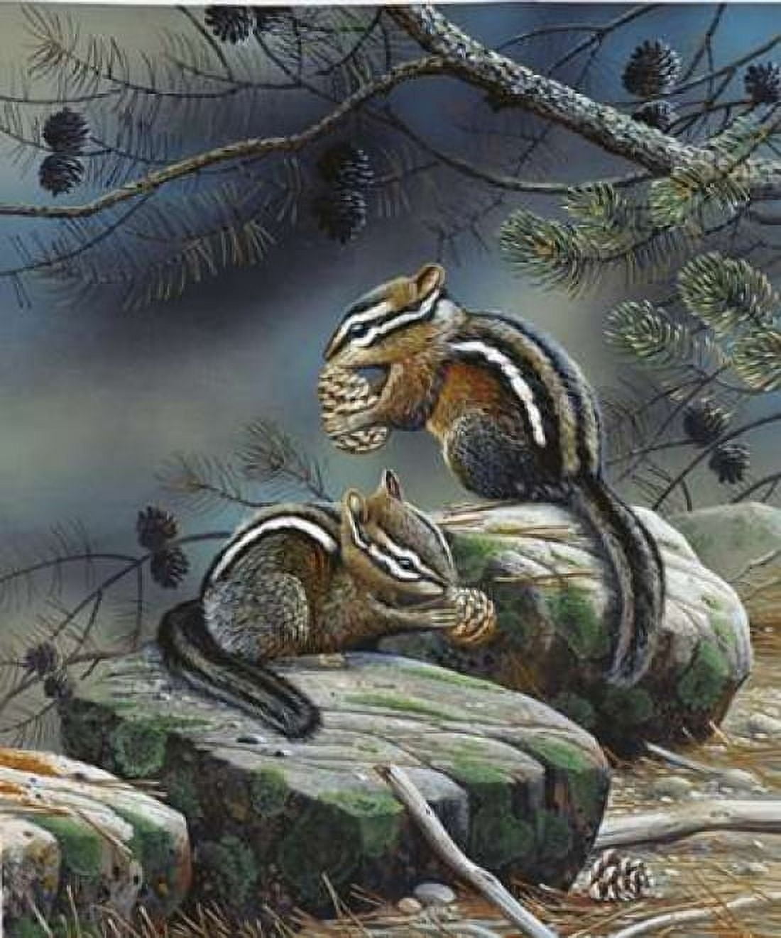 Squirrels Canvas Art - Jan Weenink (20 x 24)